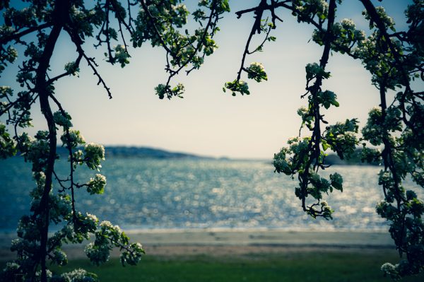 Reise Foto